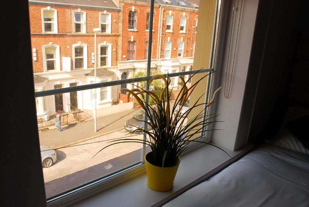 Botanic Rest Queens Quarter Belfast Cameră foto